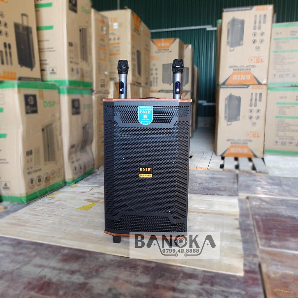 https://banoka.vn/Loa kẹo kéo karaoke bluetooth BNIB 2299 Bass 30 (4)